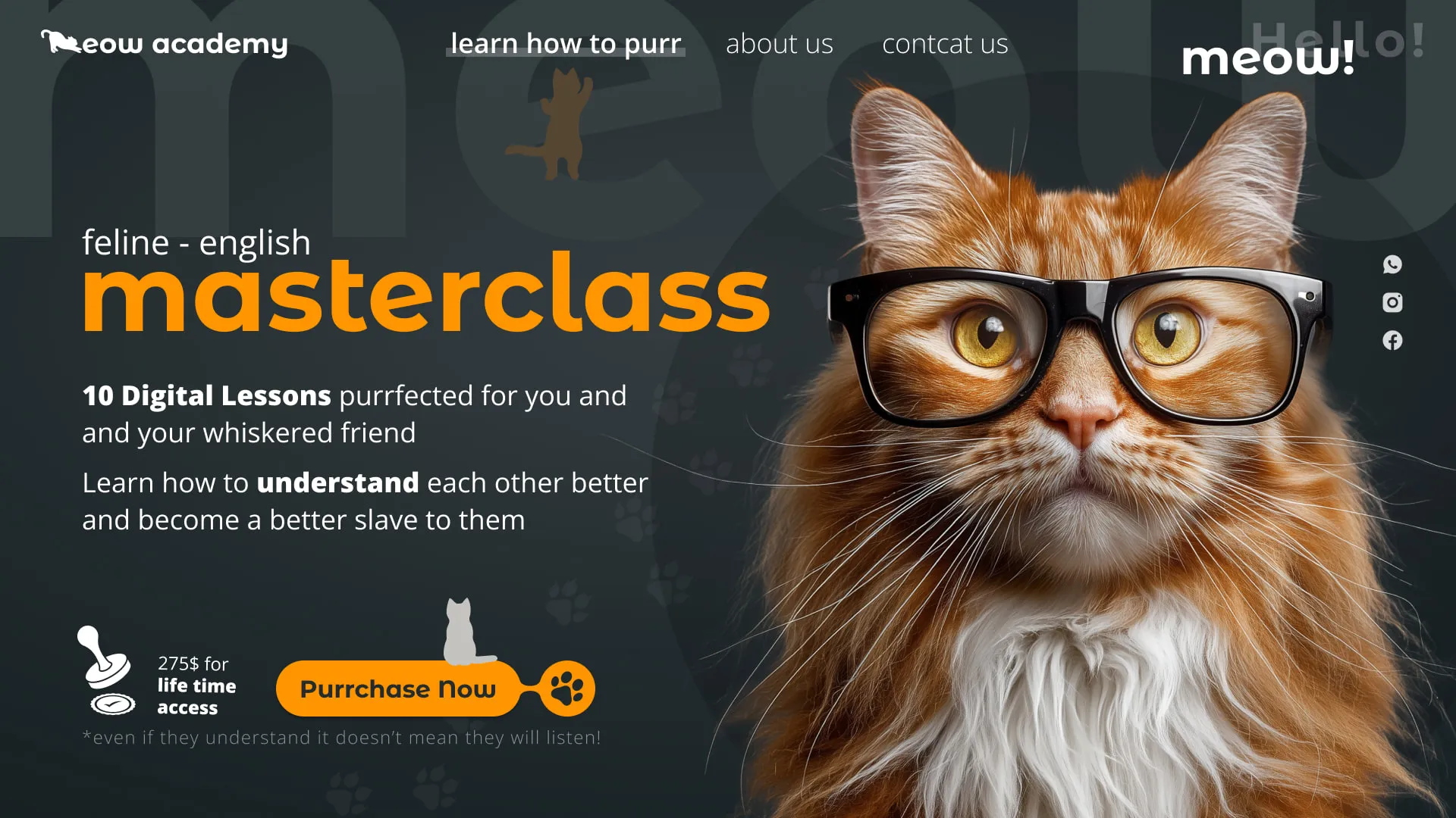 Meow Academy – קורס דיגיטלי הומוריסטי